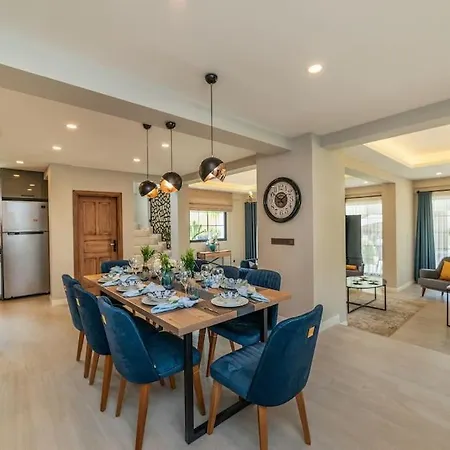 Palmiye Jakuzili Bahceli Havuzlu - Ocekhomes ヴィラ フェティエ
