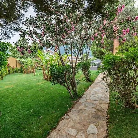 Palmiye Jakuzili Bahceli Havuzlu - Ocekhomes フェティエ
